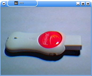 xawtv でキャプチャした Xmind 8MB Memory